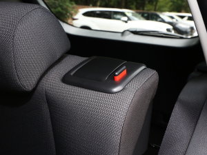 2023p 2.5L E-CVT򌾫Ӣ g