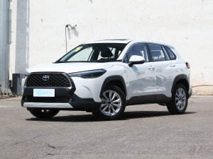2023款2.0L 尊享版 左前45度