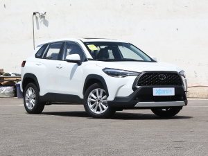 2023款2.0L 尊享版 右前45度