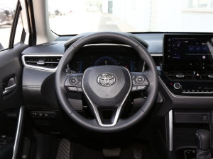 2023款2.0L 尊享版 方向盘