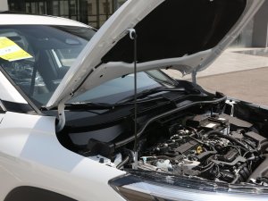 2023款2.0L 尊享版 其它