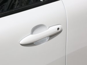 2023款2.0L 先锋版 主驾门拉手
