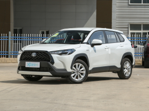 2023款双擎 2.0L 先锋版 左前45度