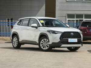 2023款双擎 2.0L 先锋版 右前45度