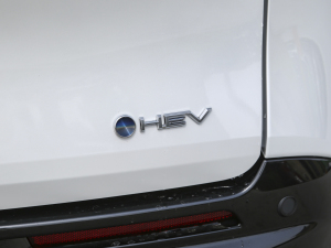 2024��2.5L��� ���FPLUS�� �������^