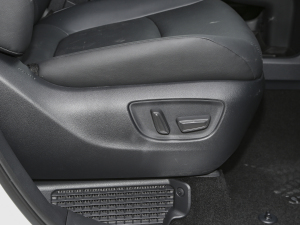 20242.5L(dng) FPLUS g