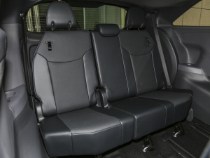 20242.5L(dng) FPLUS g