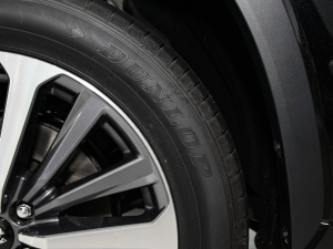 20242.5L HEV(q)A (x)(ji)^