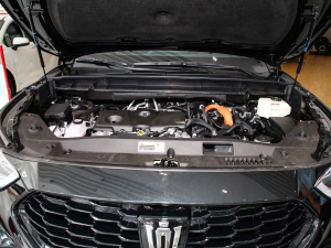 2024款2.5L HEV四驱豪华版 其它