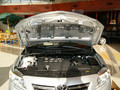 2007�����������