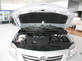 2007�����������