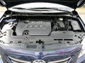2007�����������