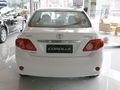 2007���������