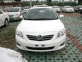 2007���������