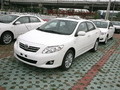 2007���������45��