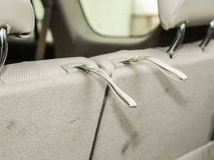 20183.5L ԄVX-NAVI ̥ g