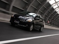 2008���������ද̬