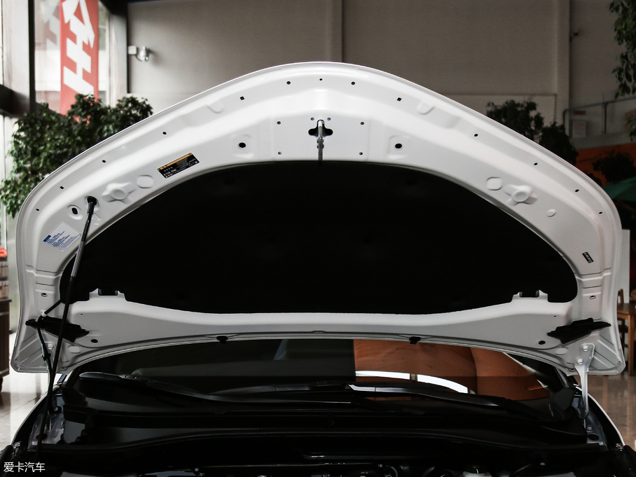 2018ȝIZOA 2.0L Y촰