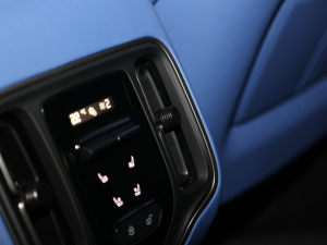 2020��4.0T V8 1913�װl������ �п؅^