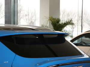 2020��4.0T V8 �������^