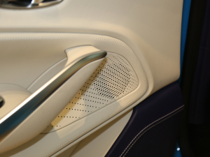 2020��4.0T V8 ���g����