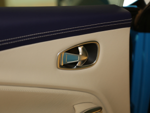 2020��4.0T V8 ���g����