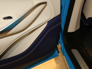 2020��4.0T V8 ���g����