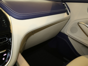 2020��4.0T V8 ���g����