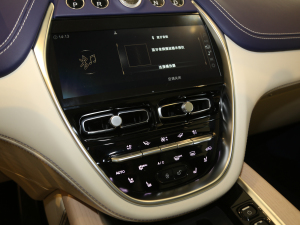 2020��4.0T V8 �п؅^(q��)