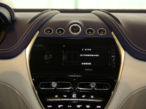 2020��4.0T V8 �п��_(t��i)�@ʾ��