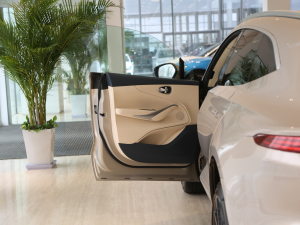 2020��4.0T V8 ���g����