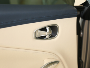 2020��4.0T V8 ���g����