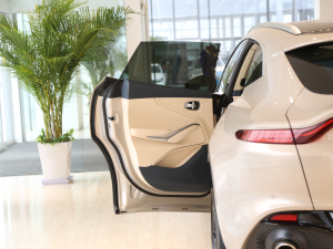 2020��4.0T V8 ���g����