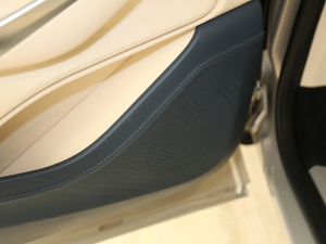 2020��4.0T V8 ���g����