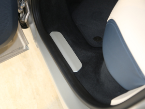 2020��4.0T V8 ���g����