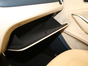 2020��4.0T V8 ���g����