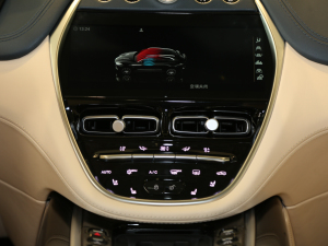 2020��4.0T V8 �п؅^