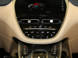 2020��4.0T V8 �п؅^