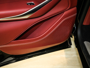 2020��4.0T V8 ���g����