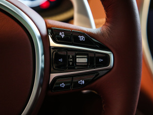 2020��4.0T V8 �п؅^