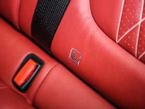 2020��4.0T V8 ���g����