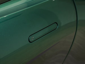 2023款4.0T V8 F1 Edition Coupe 主驾门拉手