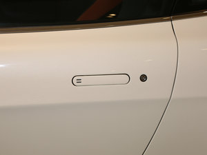 2016款4.7L Coupe Edition 5 主驾门拉手