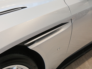 2019V12 Coupe (x)(ji)^