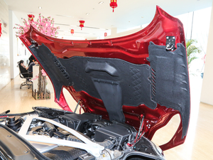 2019款V8 Coupe 其它