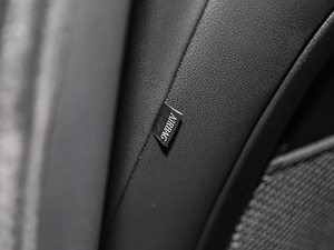 20192.0T R-Sport\Ӱ g