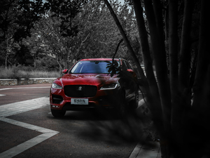 20192.0T R-Sport\Ӱ w^