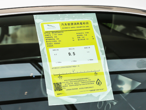 2021P300 (q)Ӳ픰 ŲͺĘ(bio)ʾ