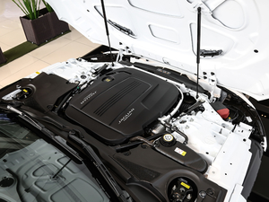 2021P300 (q)Ӳ픰 l(f)(dng)C(j)