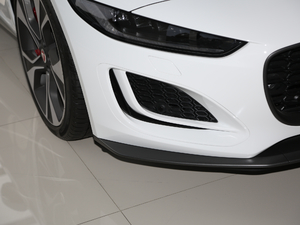 2021P300 First EditionӲ픰 ^